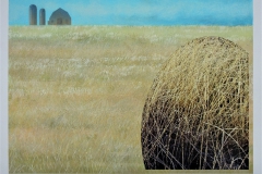 Homeland