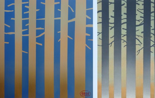 Pine tree forest 1-2