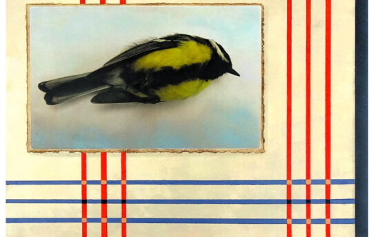 Nature morte