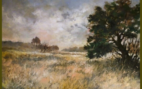 Landschap 1986